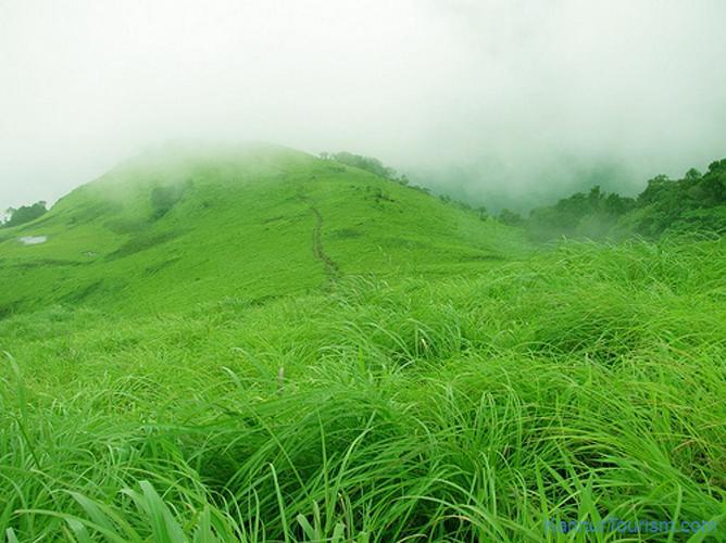 Paithal Resort Kannur Esterno foto
